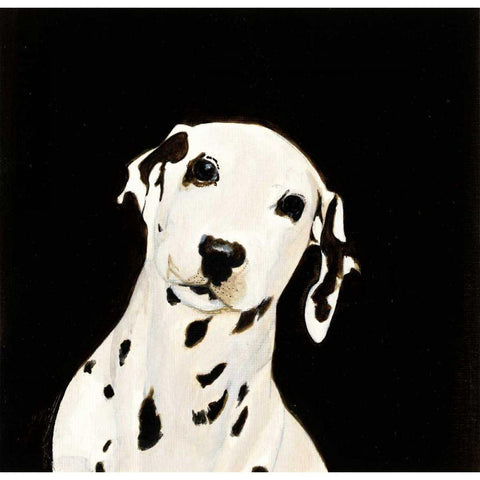 Dakota II White Modern Wood Framed Art Print by Ducklow, Patsy