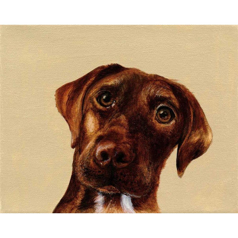 Moose Black Modern Wood Framed Art Print by Ducklow, Patsy