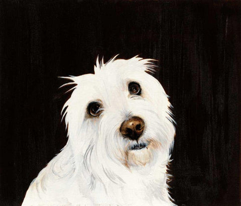 Ruby White Modern Wood Framed Art Print with Double Matting by Ducklow, Patsy