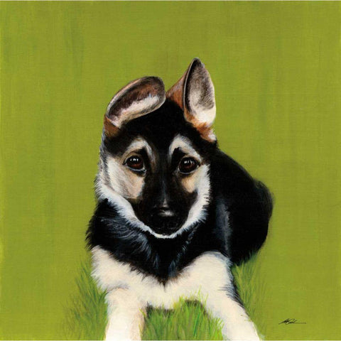 Bonelli Black Modern Wood Framed Art Print by Ducklow, Patsy