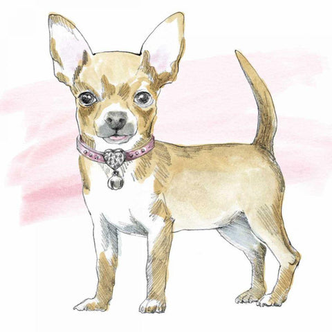 Glamour Pups VII White Modern Wood Framed Art Print by Grove, Beth