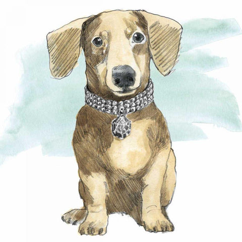 Glamour Pups IX Black Modern Wood Framed Art Print by Grove, Beth