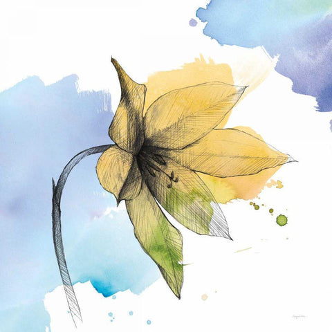 Watercolor Graphite Flower VIII White Modern Wood Framed Art Print by Tillmon, Avery