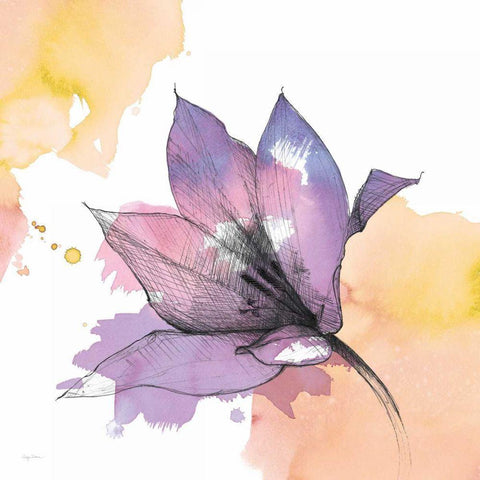 Watercolor Graphite Flower IX White Modern Wood Framed Art Print by Tillmon, Avery