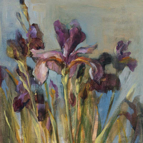 Spring Iris I Black Modern Wood Framed Art Print by Nai, Danhui