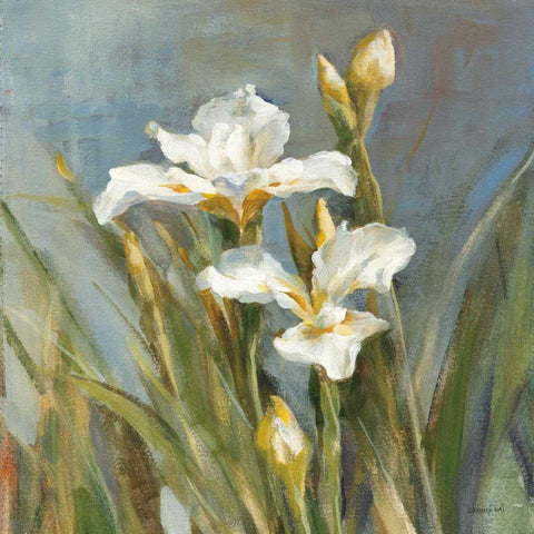 Spring Iris II White Modern Wood Framed Art Print with Double Matting by Nai, Danhui