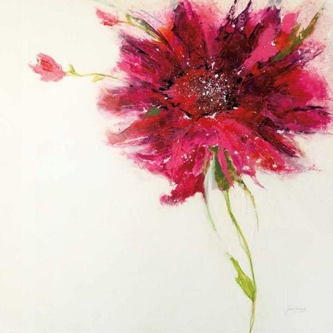 Pink Daisy on White Gold Ornate Wood Framed Art Print with Double Matting by Griggs, Jan