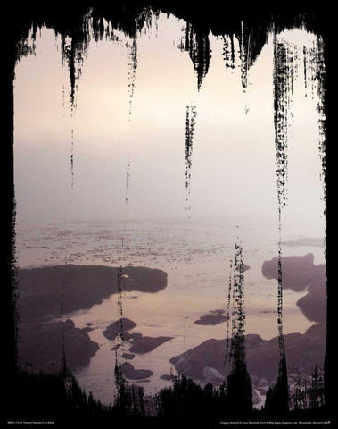Painted Seaside II on Black White Modern Wood Framed Art Print with Double Matting by Marshall, Laura