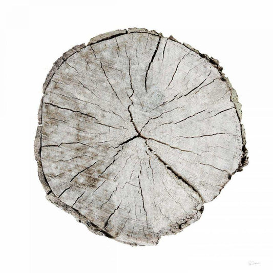 Image Only