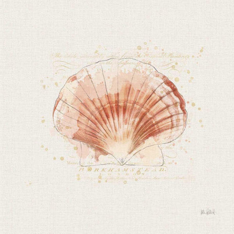 Shell Collector IV White Modern Wood Framed Art Print by Pertiet, Katie