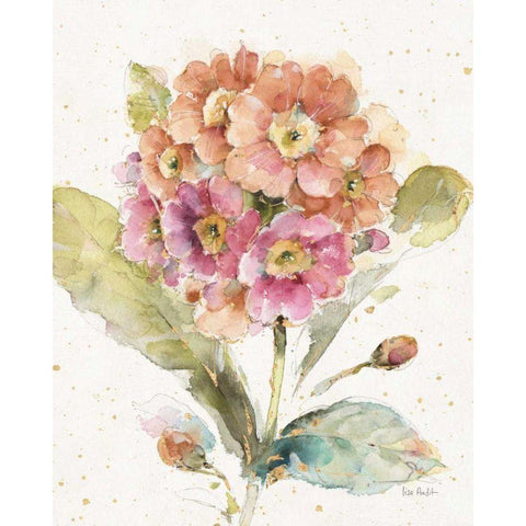 Country Bloom III Black Modern Wood Framed Art Print with Double Matting by Audit, Lisa