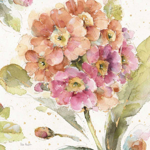 Country Bloom VI Black Ornate Wood Framed Art Print with Double Matting by Audit, Lisa