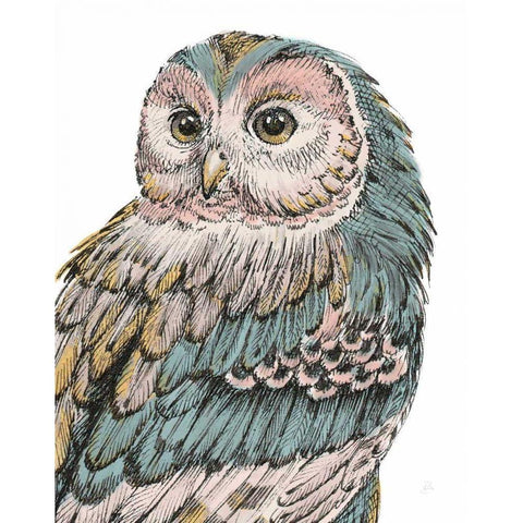 Beautiful Owls I Pastel Black Modern Wood Framed Art Print by Brissonnet, Daphne