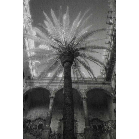 Palermo Black Modern Wood Framed Art Print with Double Matting by Dratfield, Jim