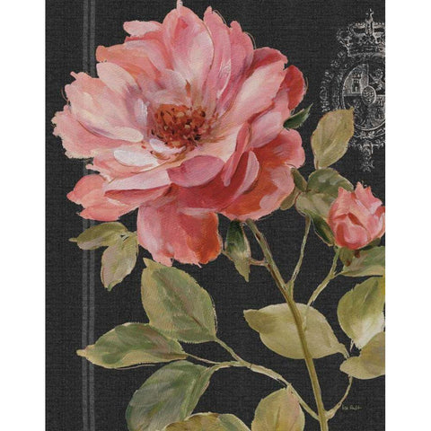 Harmonious Rose Black Gold Ornate Wood Framed Art Print with Double Matting by Audit, Lisa