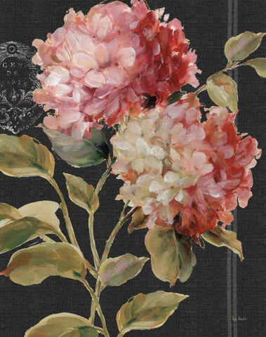 Harmonious Hydrangeas White Modern Wood Framed Art Print with Double Matting by Audit, Lisa