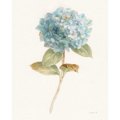 Garden Hydrangea White Modern Wood Framed Art Print by Nai, Danhui