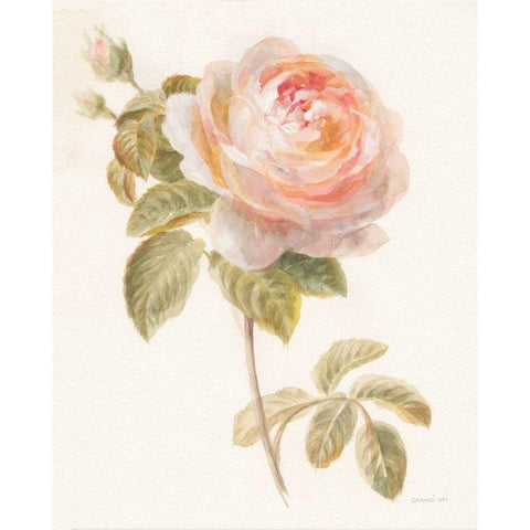 Garden Rose Gold Ornate Wood Framed Art Print with Double Matting by Nai, Danhui