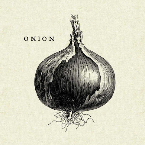 Linen Vegetable BW Sketch Onion Gold Ornate Wood Framed Art Print with Double Matting by Studio Mousseau