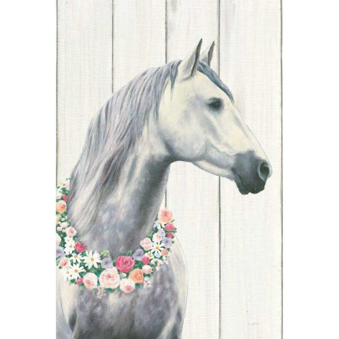 Spirit Stallion I on Wood no Lace Black Modern Wood Framed Art Print with Double Matting by Wiens, James