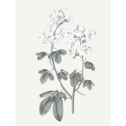 Neutral Botanical III White Modern Wood Framed Art Print by Wild Apple Portfolio