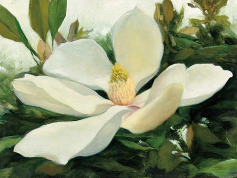 Majestic Magnolia White Modern Wood Framed Art Print with Double Matting by Purinton, Julia