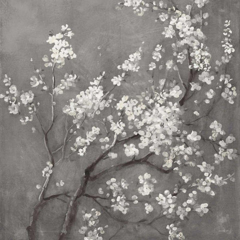 White Cherry Blossoms I on Grey Crop White Modern Wood Framed Art Print with Double Matting by Nai, Danhui