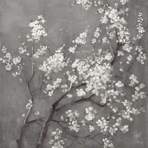 White Cherry Blossoms I on Grey Crop Black Ornate Wood Framed Art Print with Double Matting by Nai, Danhui