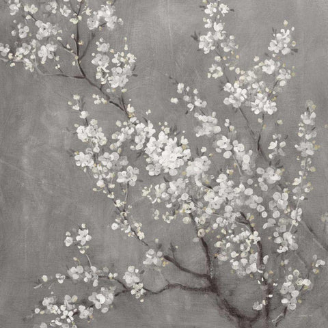 White Cherry Blossoms II on Grey Crop Black Modern Wood Framed Art Print with Double Matting by Nai, Danhui