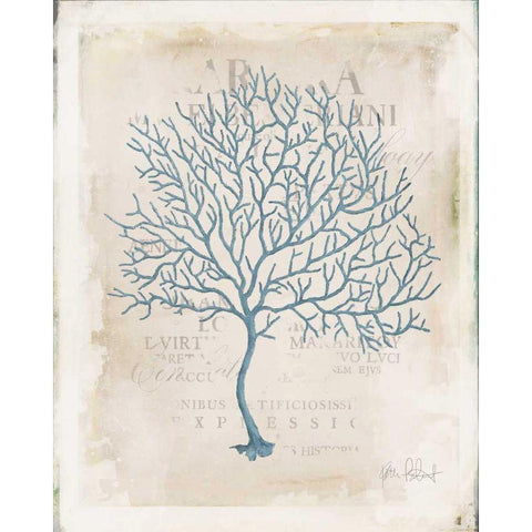 Sea Garden IV Black Modern Wood Framed Art Print with Double Matting by Pertiet, Katie