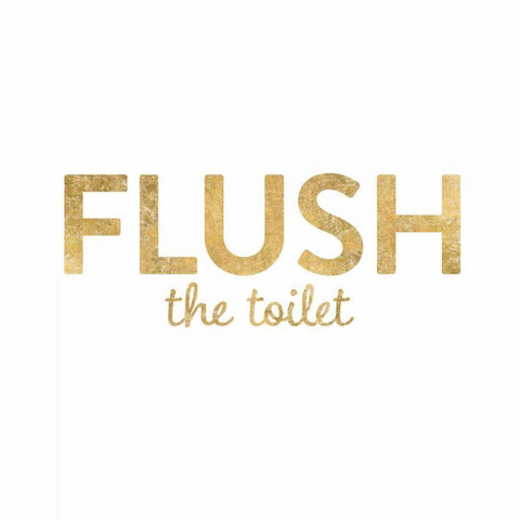 Bathroom Etiquette II White Modern Wood Framed Art Print with Double Matting by Wild Apple Portfolio
