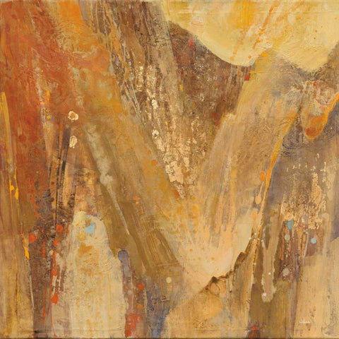 Canyon 3A Black Ornate Wood Framed Art Print with Double Matting by Hristova, Albena