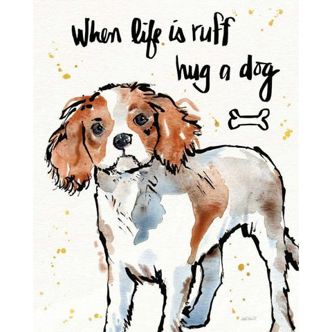 Strike a Paws XII Black Modern Wood Framed Art Print by Tavoletti, Anne