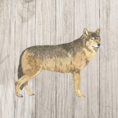 Natural Majesty IV v2  on Wood White Modern Wood Framed Art Print with Double Matting by Adams, Emily