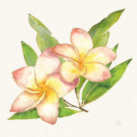 Tropical Fun Flowers I with Gold White Modern Wood Framed Art Print with Double Matting by Sussman, Harriet