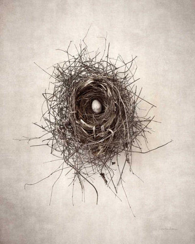 Nest I White Modern Wood Framed Art Print with Double Matting by Van Swearingen, Debra