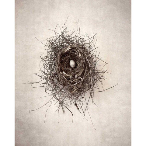 Nest I Black Modern Wood Framed Art Print by Van Swearingen, Debra