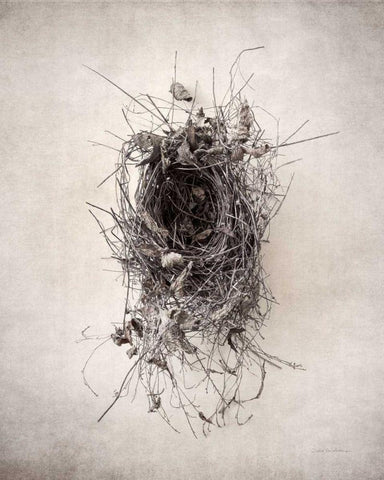 Nest II White Modern Wood Framed Art Print with Double Matting by Van Swearingen, Debra