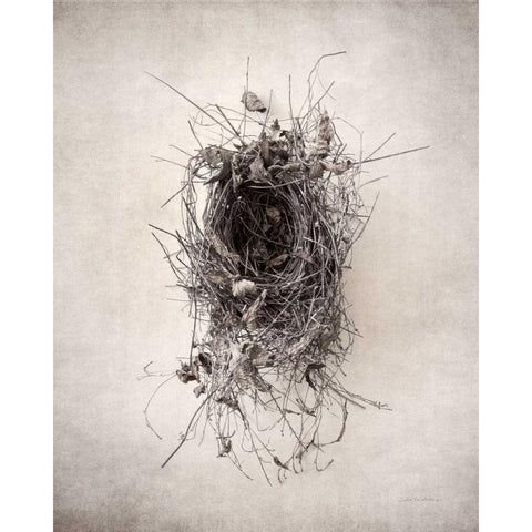 Nest II Black Modern Wood Framed Art Print by Van Swearingen, Debra