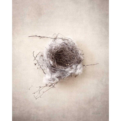 Nest III Gold Ornate Wood Framed Art Print with Double Matting by Van Swearingen, Debra