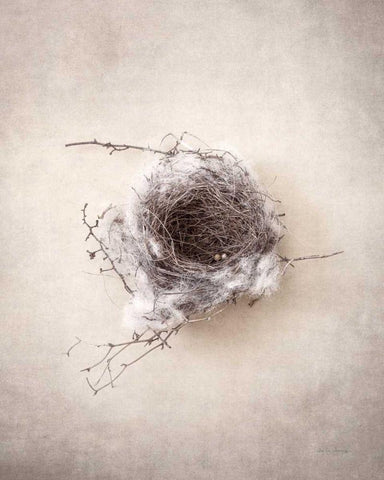 Nest III Black Ornate Wood Framed Art Print with Double Matting by Van Swearingen, Debra