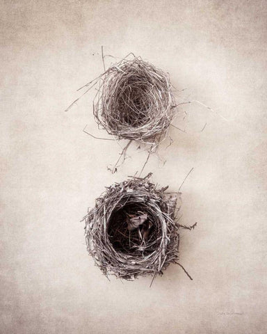 Nest IV White Modern Wood Framed Art Print with Double Matting by Van Swearingen, Debra