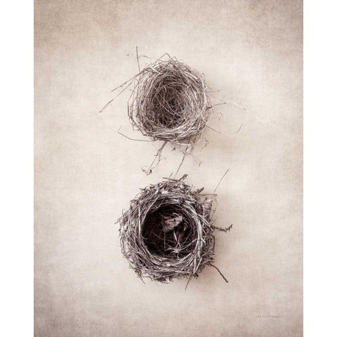 Nest IV Black Modern Wood Framed Art Print by Van Swearingen, Debra