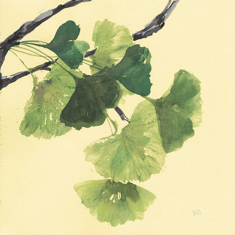 Gingko Leaves I Dark White Modern Wood Framed Art Print by Paschke, Chris