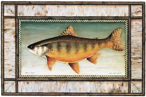 Brook Trout Birch Border Black Ornate Wood Framed Art Print with Double Matting by Brown, David Carter