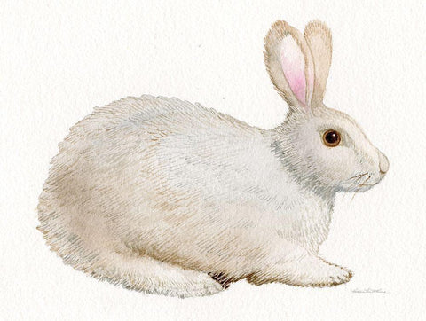 Spring Bunny IV White White Modern Wood Framed Art Print with Double Matting by McKenna, Kathleen Parr