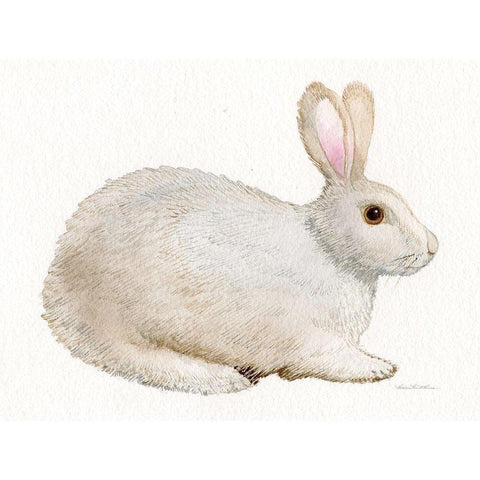 Spring Bunny IV White Gold Ornate Wood Framed Art Print with Double Matting by McKenna, Kathleen Parr