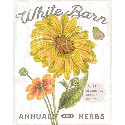 White Barn Flowers I Gold Ornate Wood Framed Art Print with Double Matting by Schlabach, Sue