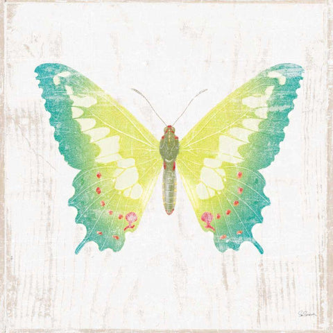 White Barn Butterflies III Gold Ornate Wood Framed Art Print with Double Matting by Schlabach, Sue