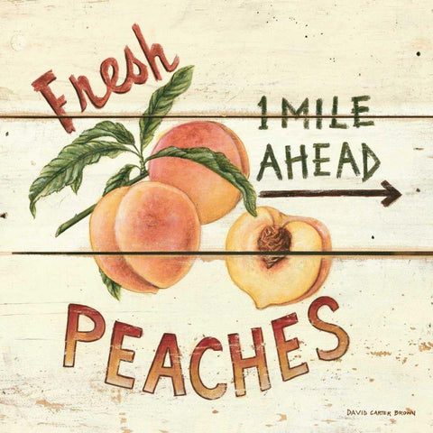 Fresh Peaches White Modern Wood Framed Art Print with Double Matting by Brown, David Carter